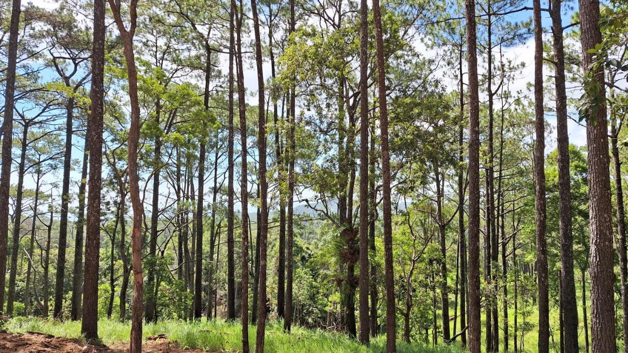 Romdoul Kirirom Resort By Ehm Kampong Speu Kültér fotó